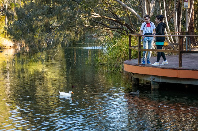 Hervey Bay Botanic Gardens, Urangan, Australia, Australia